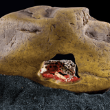 Exo Terra Crystal Cave, Medium