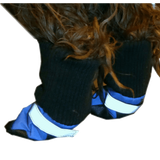 HDP Dog Boots Blue Set of 4 Medium