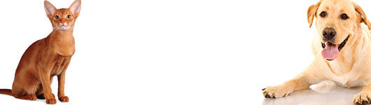 new products  recently added