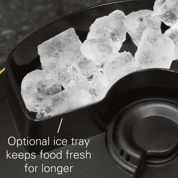 Andrew James 4 Day Meal Automatic Pet Feeder Bowl with voice recor